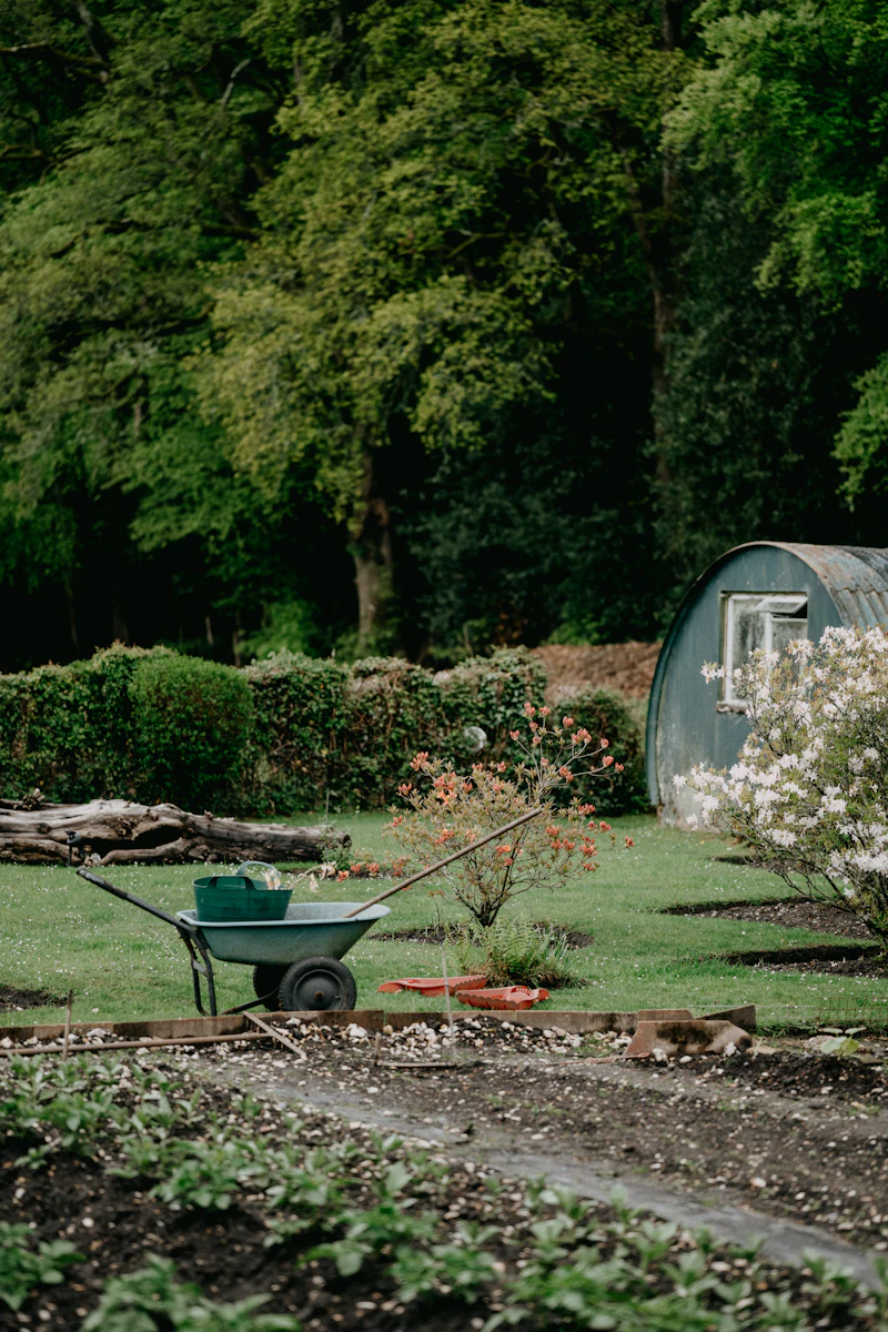 Avant les plantations