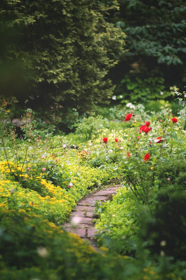 Création de jardin